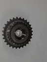 Crankshaft position gear