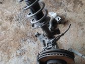 Front wheel hub spindle knuckle