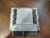 Engine control unit/module ECU
