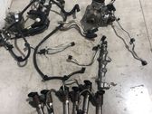 Fuel injection system set