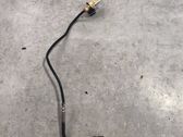 Capteur de température des gaz d'échappement