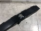 Trunk door license plate light bar