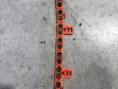 Other wiring loom