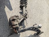 Front wheel hub spindle knuckle