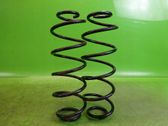 Rear coil spring