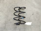 Rear coil spring