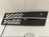 Front bumper lower grill