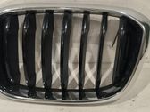 Front bumper upper radiator grill