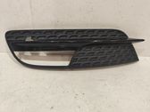 Front fog light trim/grill