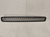 Front bumper lower grill