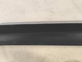 Front door trim (molding)