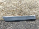 Rear door trim (molding)