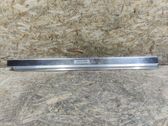 Front sill trim cover