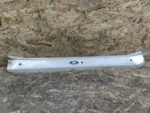 Front sill trim cover