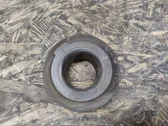 Rear coil spring rubber mount