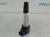 High voltage ignition coil