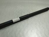 Tailgate/trunk strut/damper