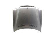 Engine bonnet/hood