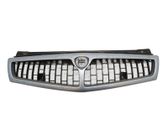 Front bumper upper radiator grill