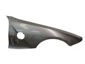 Fender