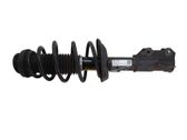 Front shock absorber with coil spring