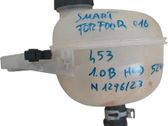 Ausgleichsbehälter Kühlwasser