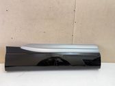 Rear door trim (molding)