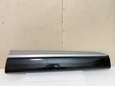 Front door trim (molding)