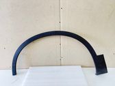 Fender trim (molding)