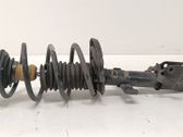 Amortiguador delantero con muelle espiral