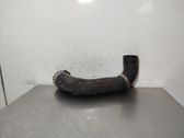 Manguera/tubo de aceite del turbocompresor turbo