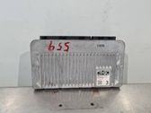 Unidad de control/módulo del motor