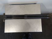 Tailgate/trunk strut/damper
