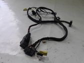 Other wiring loom