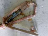 Roof airbag