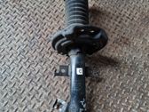 Front shock absorber/damper