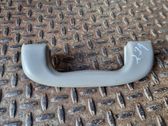 Front interior roof grab handle