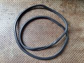 Rear door rubber seal (on body)