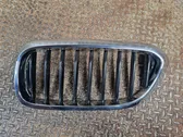 Grille de calandre avant