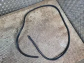 Trunk rubber seal (body)