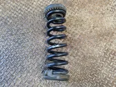 Rear coil spring