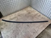 Roof trim bar molding cover