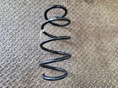 Front coil spring