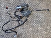 Cableado de puerta trasera
