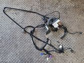 Front door wiring loom