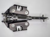 Tailgate/trunk/boot hinge