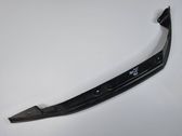 Other front door trim element
