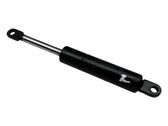 Tailgate/trunk strut/damper