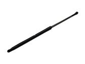 Tailgate/trunk strut/damper