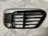 Front fog light trim/grill